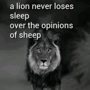 Meet your Posher, Delia